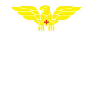 bendeguz10's emblem