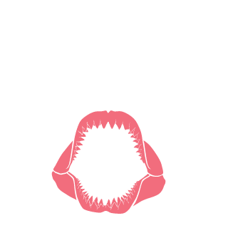 Mitch93nz's emblem