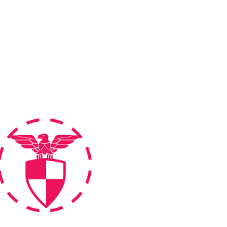 robroi797's emblem