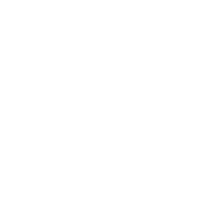 II_Flitz_II's emblem