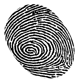 bruceriko's emblem