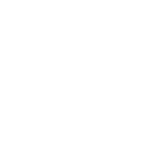DNMKA_KOBAJIEHKO's emblem