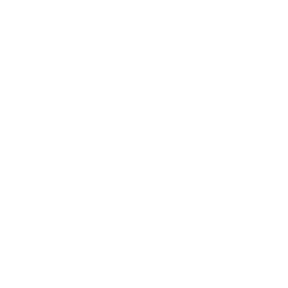 NT-JohnWick-fr's emblem