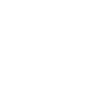 CorageousCashew's emblem