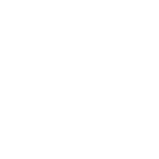 DVMWVOO's emblem