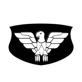 CommandrAwesome's emblem