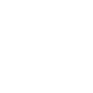 2b1st's emblem