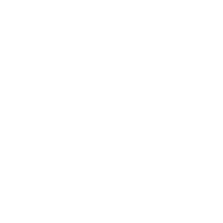 Davidpash1's emblem