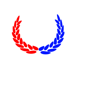 Stechkinov's emblem