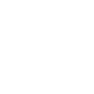 vX-Alpine's emblem