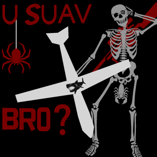 LubuCwb's emblem