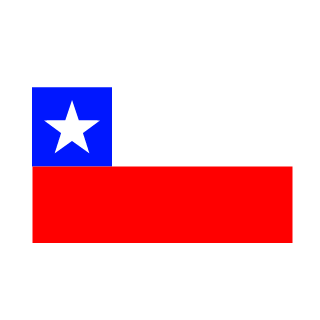 M1911-E4's emblem