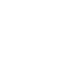 Idelson-pedreiro's emblem