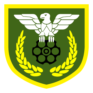Blazikenfan16's emblem
