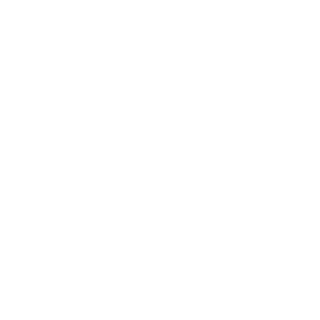 kiwranricks's emblem