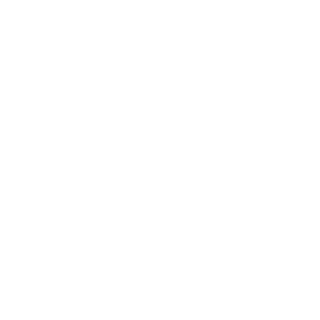 Knguye10's emblem