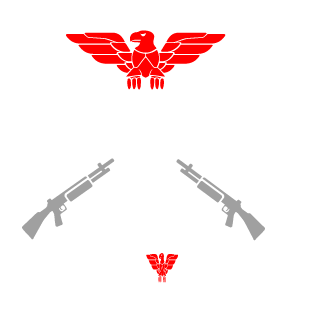 ExZtatic's emblem