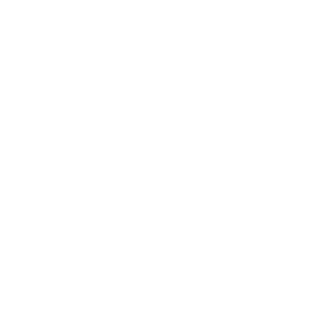 RyanMP1011's emblem