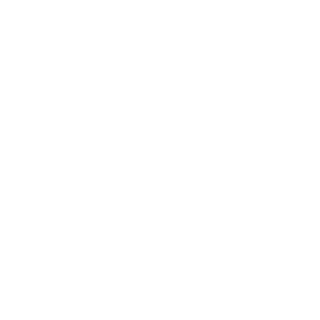 A57ILLA's emblem