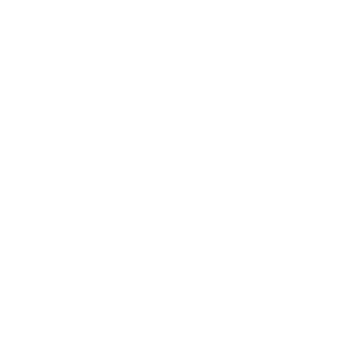 xlsean's emblem