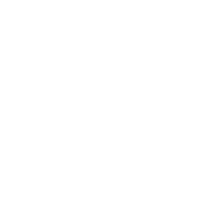 -ZZ-ChowBiu's emblem