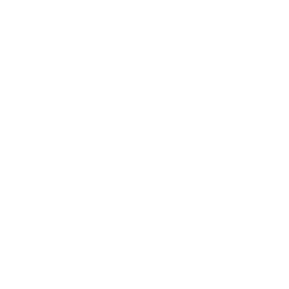 56maxxer's emblem