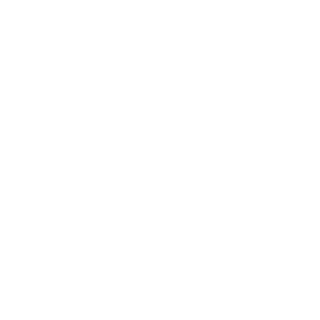 non_injected's emblem