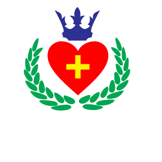 steamshopBoss's emblem