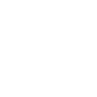 patrykstruzek17's emblem