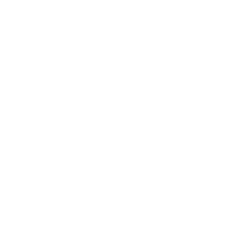 brzsx's emblem