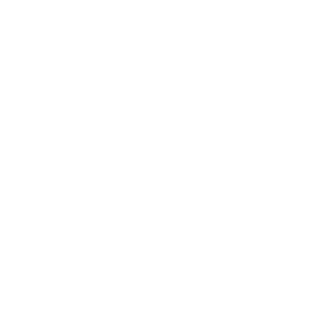Romter91's emblem