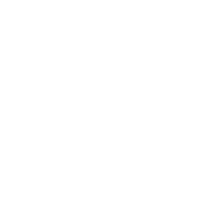 SaabugoBR's emblem