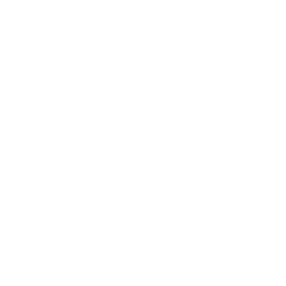 SaddamHosain's emblem