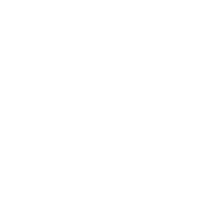 BT-03_29S9's emblem