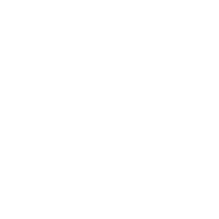 paragonwaldo's emblem