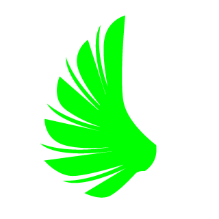 BlackInfinity89's emblem