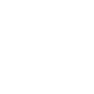 Slux96's emblem