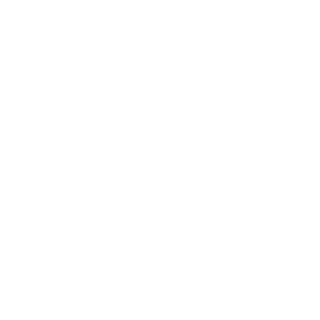 V4ND4L_RJ's emblem