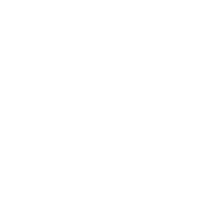 BingusTheJingus's emblem