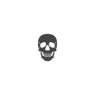 7_Sup3R_Birkhoff's emblem
