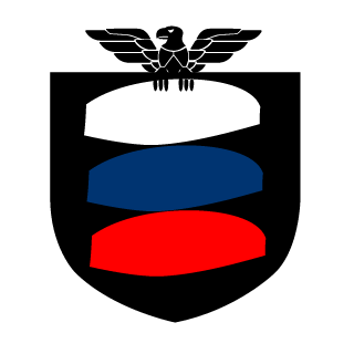 anonimys229's emblem