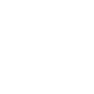 Speedxdxx's emblem
