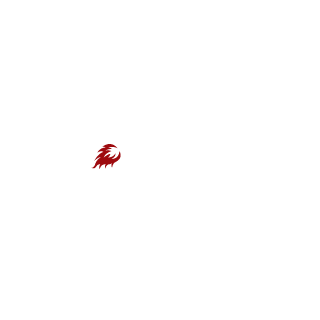 MistaBruh51's emblem
