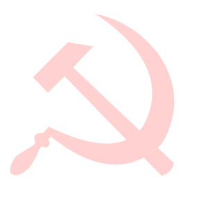 Rens321's emblem