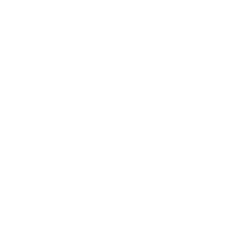 DreamyF0x's emblem