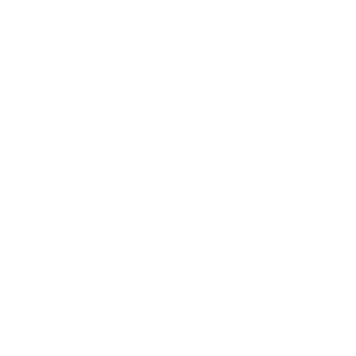 RobixTox's emblem