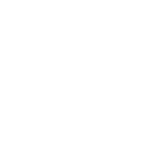darknet-fox's emblem