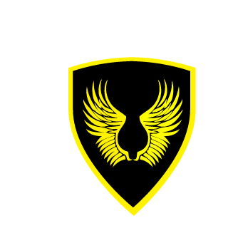 SOCOM's emblem