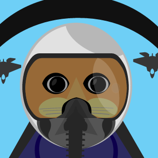 1thskyhost's emblem