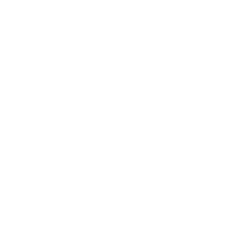 DNastyJ's emblem